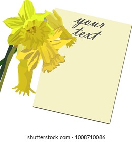 Floral card, narcissus. Beautiful Spring Floral Background Postcard