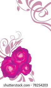 Floral card with purple roses. Vector