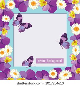 Floral card template with blank or empty frame. Pansies and camomiles on light green blue color for your spring or summer design. Vector illustration.