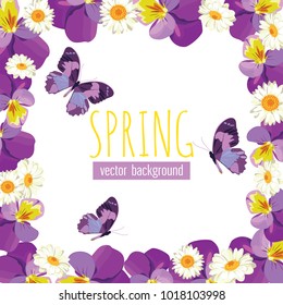 Floral card template with blank or empty frame. Pansies and camomiles on light green blue color for your spring or summer design. Vector illustration.