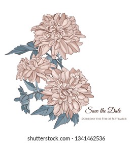 Floral card template design, chrysanthemum flowers  on white background, card for valentine's day, mother's day, vintage style.