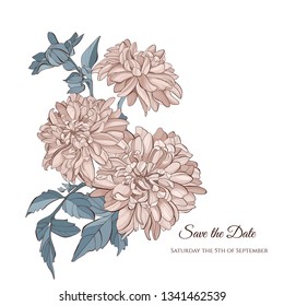 Floral card template design, chrysanthemum flowers  on white background, card for valentine's day, mother's day, vintage style.