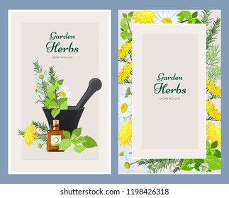 Floral cards. Herbalism medicine products wild herbs and flowers vintage design vector template. Illustration of herbal natural flower, floral organic medicine or cosmetic