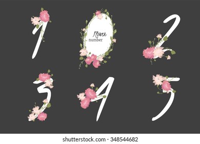 Floral carnation collection numbers in vintage color. One, two, three, four, five - signs vector