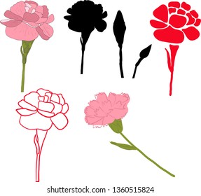 Floral carnation retro vintage background, vector illustration