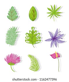 Floral cartoons
