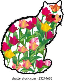 "Floral" cat
