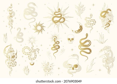 Floral and Celestial golden snakes collection. Gold vector isolated set of mystical witchy elements for tattoo,  t-shirt design, fabric.