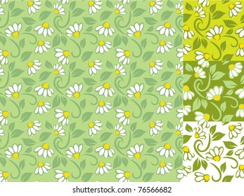 Floral chamomile patterns