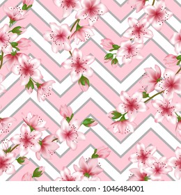 Floral cherry blossom patter with geometric seamless vector background. Tender sakura branch textile, apricot blossom fabric, apple flowers spring trees repeating background.