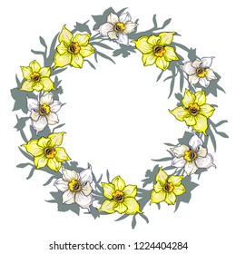 Floral circle border with hand drawn flowers daffodils, narcissus. Colored flowers on white background. For greeting card mockup, postcard, invitation wedding design. Vector illustration.