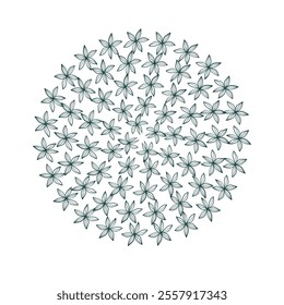 floral circle vector design frame elements set modern minimalistic doodle