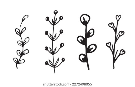 Floral clipart Set of botanical  hand-drawn vintage  White background. Ink doodle illustration  minimalistic black flower
