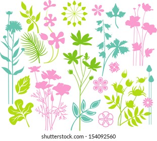Floral collection