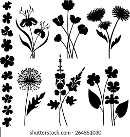 Floral collection 