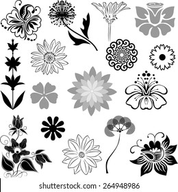 Floral collection