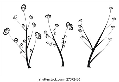 Floral collection