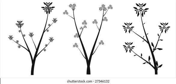 Floral collection