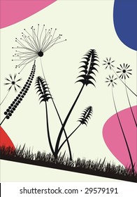  Floral collection