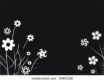  Floral collection