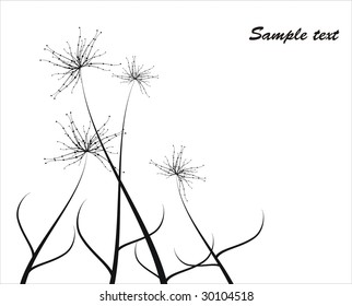  Floral collection