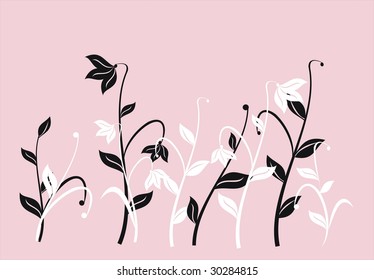 Floral collection