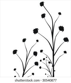 Floral collection
