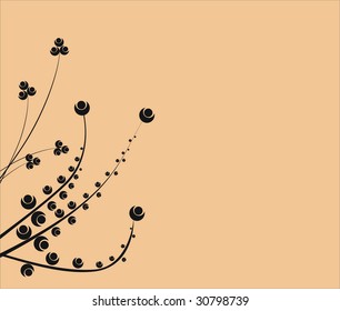 Floral collection