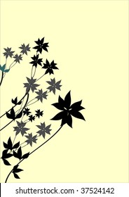 Floral collection