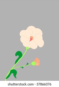 Floral collection