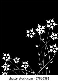 Floral collection
