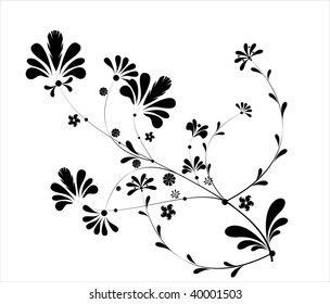   Floral collection