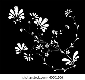   Floral collection