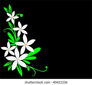  Floral collection