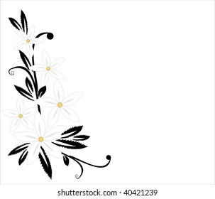  Floral collection