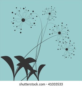 Floral collection