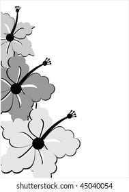 Floral collection