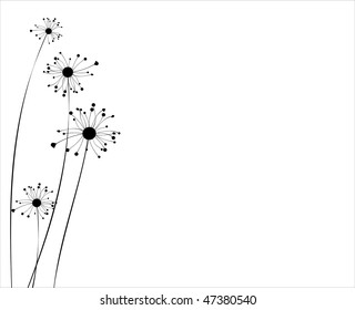 Floral collection