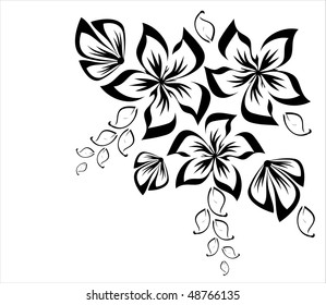   Floral collection