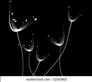 Floral collection