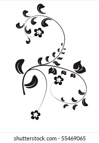 Floral collection