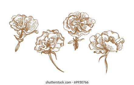 Floral collection