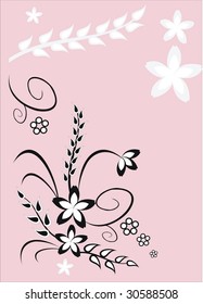  Floral collection 3