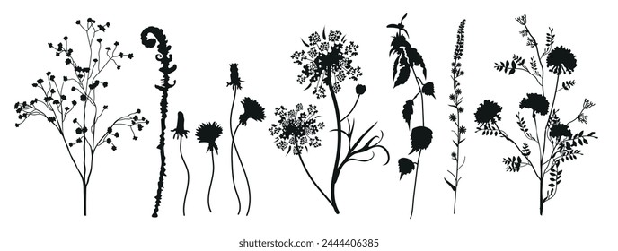 Floral collection of black silhouettes of meadow herbs. Branches, leaves, herbs, flowers, wild plants. Wildflowers.  Floral elements for your design. Vector illustration.