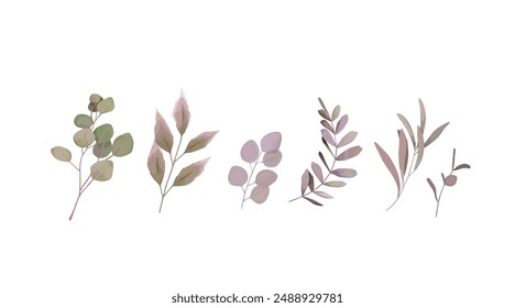 Floral collection. Botanical set. Vector illustration. Vintage style. Retro print