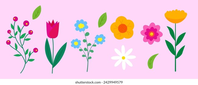Floral collection of flowers and leaves. Vector flowers. Spring botanical plants.Collection of various blooming plants with stems and leaves.Floral decoration or gift