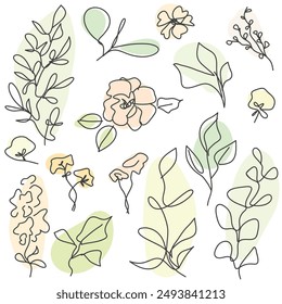 Floral collection with leaves, flower bouquets. Minimalist black linear sketch on white background. Vector illustration