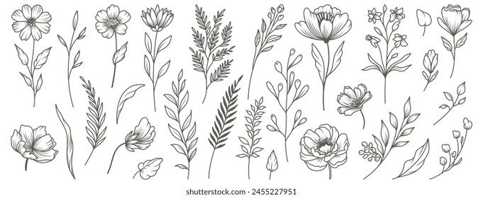 Floral collection in line art style. Hand drawn elements of wild and garden plants, branches, leaves, flowers, herbs. Vector botanical illustration for logo or tattoo, invitation, save the date, card