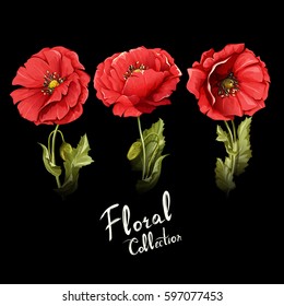 Floral collection. Poppy flowers. Illustration of three poppy buds with stem and leaves. Watercolor. Hand drawn. Vector - stock.