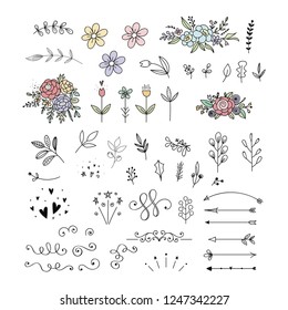 Floral collection. Vector flowers, leaves, arrows and decorative elements. Botanical clipart